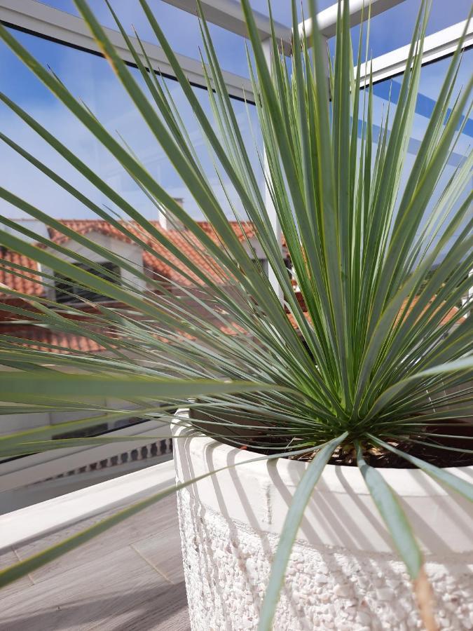 Sitius 5B - New Seaview Apartment With Rooftop Terrace In Historical Centre Sitio Da ナザレ エクステリア 写真